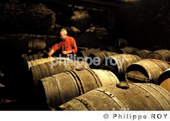 Vin de Charente (17F05423.jpg)