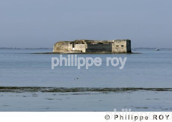 Fouras - Charente Maritime (17F05429.jpg)
