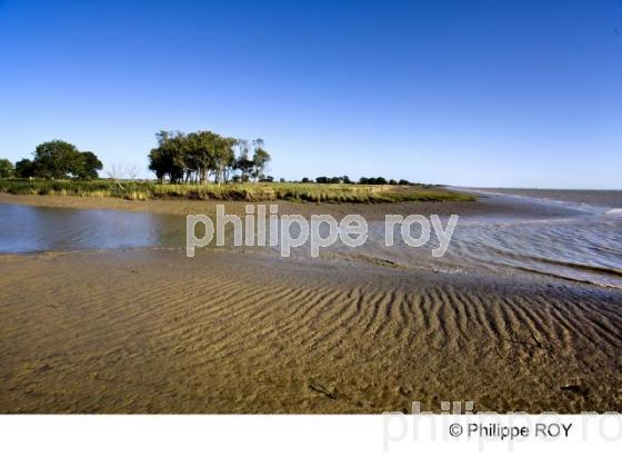 Estuaire de la Gironde - Charente Maritime (17F05538.jpg)