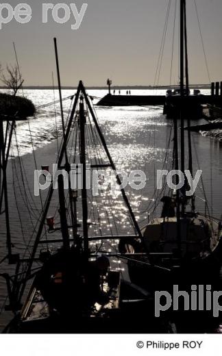 Estuaire de la Gironde - Charente Maritime (17F05601.jpg)