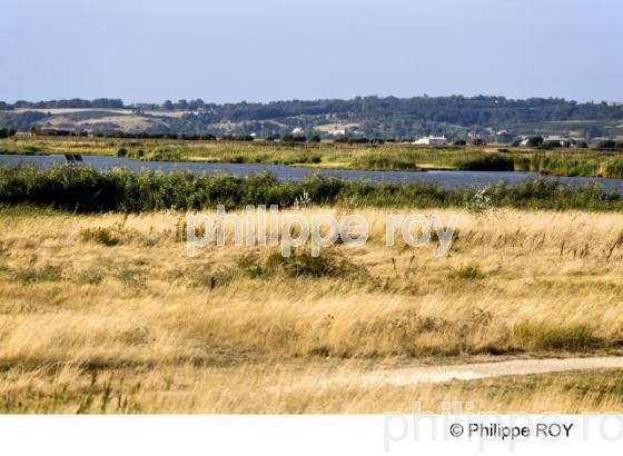 Estuaire de la Gironde - Charente Maritime (17F05607.jpg)