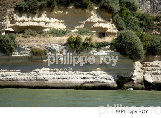 Troglodyte, Corniche charentaise, Estuaire de la Gironde (17F05915.jpg)
