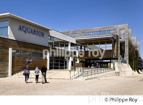 AQUARIUM  DE LA ROCHELLE, CHARENTE MARITIME, FRANCE (17F06409.jpg)