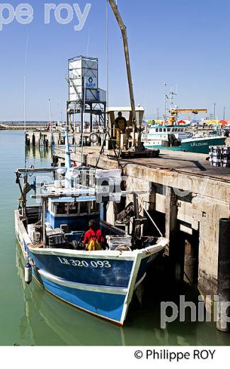 PORT DE PECHE  DE LA ROCHELLE, CHARENTE MARITIME, FRANCE (17F06916.jpg)