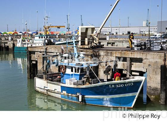 PORT DE PECHE  DE LA ROCHELLE, CHARENTE MARITIME, FRANCE (17F06918.jpg)