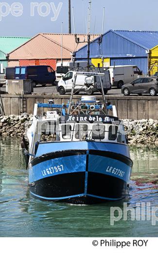 PORT DE PECHE  DE LA ROCHELLE, CHARENTE MARITIME, FRANCE (17F06921.jpg)