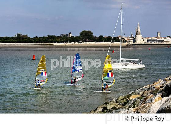 PLANCHE A VOILE  , RADE DE LA ROCHELLE, CHARENTE MARITIME. (17F07018.jpg)