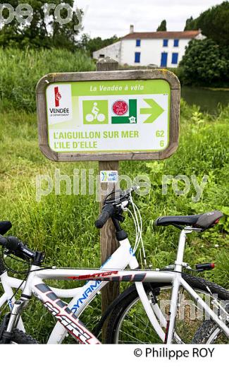 CYCLOTOURISME LE LONG DE LA SEVRE NIORTAISE, MARAIS POITEVIN, CHARENTE-MARITIME. (17F07202.jpg)