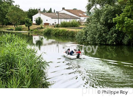 BATEAU DE PROMENADE, SEVRE NIORTAISE, MARAIS POITEVIN, CHARENTE-MARITIME. (17F07215.jpg)