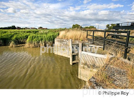 LA SEVRE NIORTAISE, ECLUSES DU BRAULT, CHARRON, MARAIS POITEVIN, CHARENTE MARITIME. (17F07423.jpg)