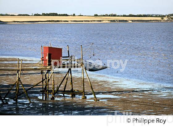 CARRELET DE PECHE , POINTE SAINT-CLEMENT,  ANSE DE L' AIGUILLON, CHARENTE-MARITIME. (17F07713.jpg)