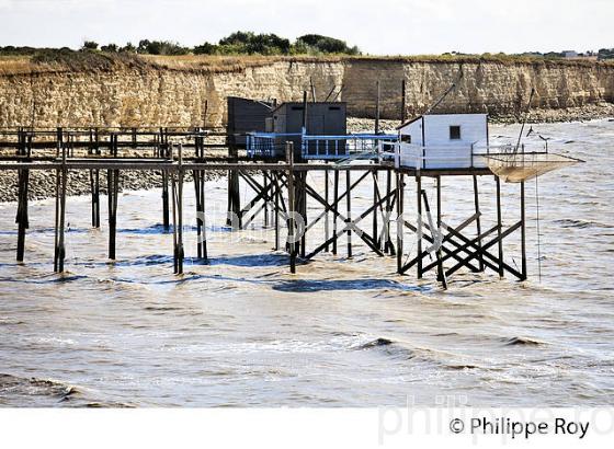 CARRELET DE PECHE, PORT DE MARSILLY,   ANSE DE L' AIGUILLON, CHARENTE-MARITIME. (17F07722.jpg)