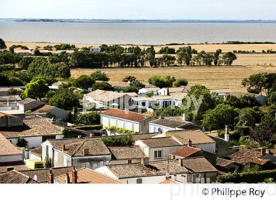 VILLAGE  DE MARSILLY,   ANSE DE L' AIGUILLON, CHARENTE-MARITIME. (17F07723.jpg)
