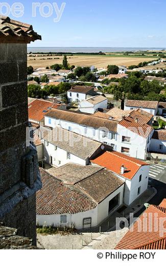 VILLAGE  DE MARSILLY,   ANSE DE L' AIGUILLON, CHARENTE-MARITIME. (17F07727.jpg)