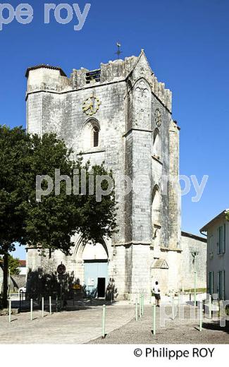 VILLAGE  DE MARSILLY,   ANSE DE L' AIGUILLON, CHARENTE-MARITIME. (17F07732.jpg)