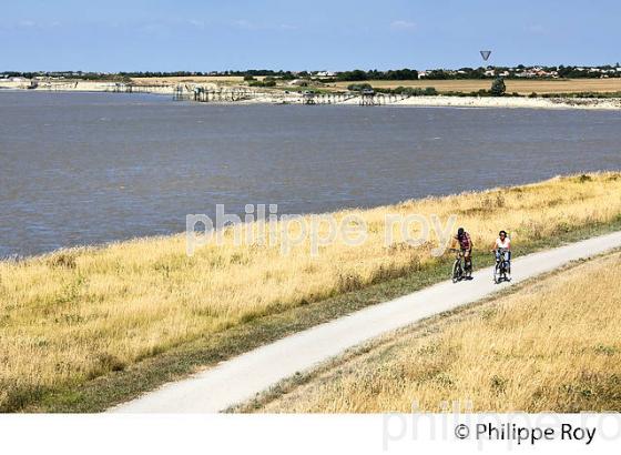 CYCLOTOURISME SUR LA VELODYSSEE, COTE DU PERTUIS BRETON, NIEUL SUR MER. (17F07740.jpg)