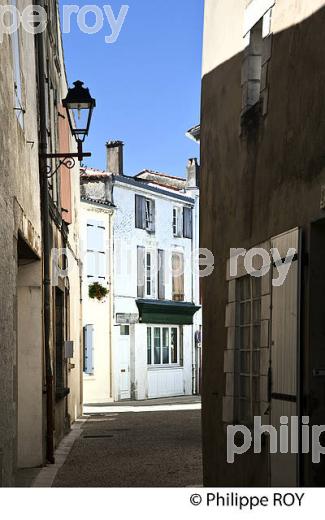 RUE  DE MARANS, MARAIS POITEVIN, CHARENTE MARITIME. (17F07836.jpg)