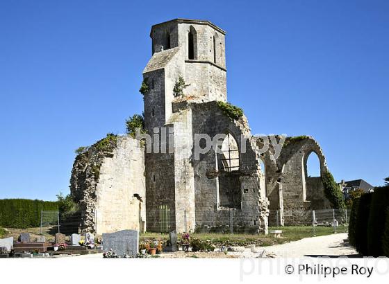 RUINE EGLISE SAINT-ETIENNE  A MARANS, MARAIS POITEVIN, CHARENTE MARITIME. (17F07915.jpg)