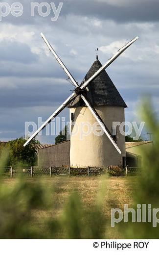 MOULIN BEAUREGARD, MARANS, MARAIS POITEVIN, CHARENTE MARITIME. (17F07917.jpg)