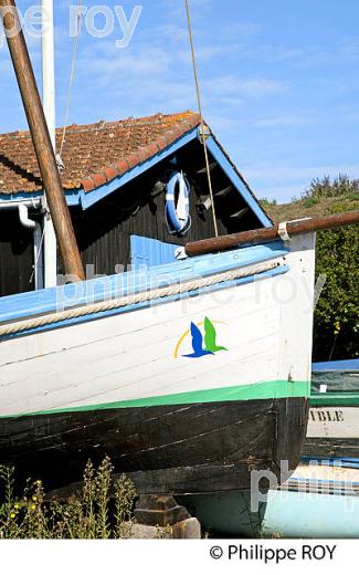 LE PORT DE PECHE  DE  CHATEAU D'OLERON,  ILE D' OLERON, CHARENTE-MARITIME. (17F08238.jpg)