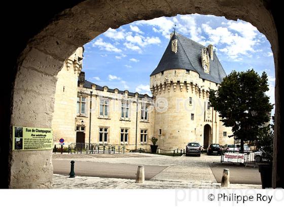 CHATEAU MEDIEVAL DE JONZAC, SAINTONGE, CHARENTE MARITIME. (17F08418.jpg)