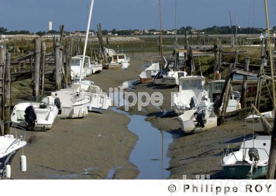 Ile de R - Charente Maritime (17f04815.jpg)