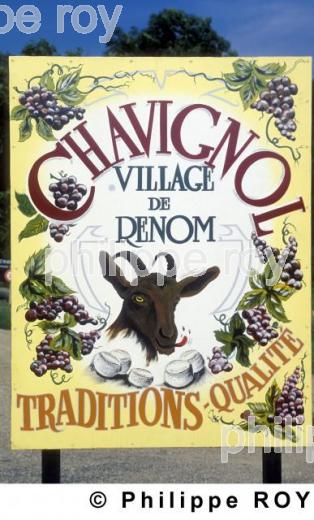 Vignoble du pays de la Loire (18V00101.jpg)