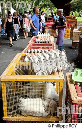 LE MARCHE DE BRIVE LA GAILLARDE, CORREZE, LIMOUSIN. (19F00426.jpg)