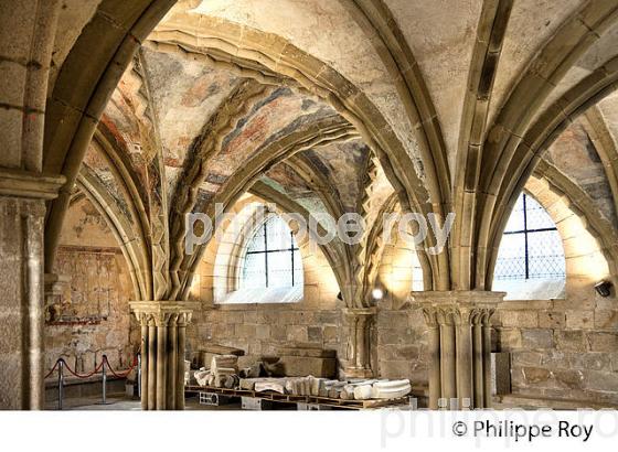 LE CLOITRE DE L' ABBAYE SAINT-MARTIN,  TULLE, CORREZE, LIMOUSIN. (19F01012.jpg)