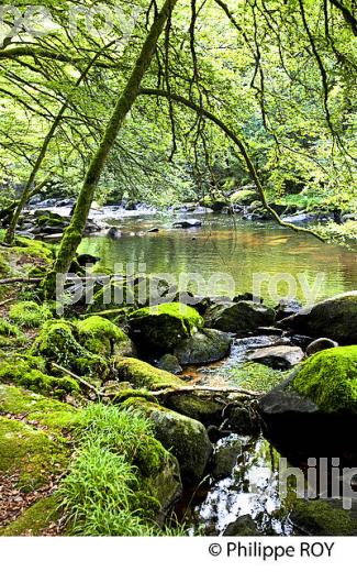 LA RIVIERE  CORREZE, PLATEAU DE MILLE VACHES ,  CORREZE, LIMOUSIN, FRANCE. (19F01239.jpg)