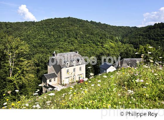 VILLAGE DE BAR,  PLATEAU DE MILLEVACHES , CORREZE, LIMOUSIN. (19F01319.jpg)