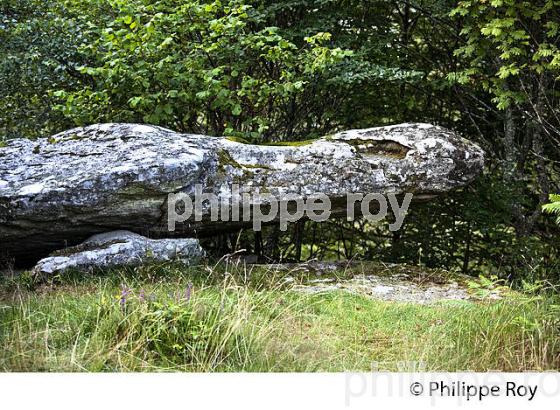 DOLMEN, CHAPELLE DU RAT, PLATEAU DE MILLEVACHES, VALLEE DE LA VEZERE,  CORREZE, LIMOUSIN. (19F01407.jpg)