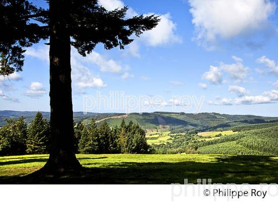 TOUR PANORAMIQUE, MONT BESSOU, MEYMAC,  PLATEAU DE MILLEVACHES, CORREZE, LIMOUSIN. (19F01612.jpg)