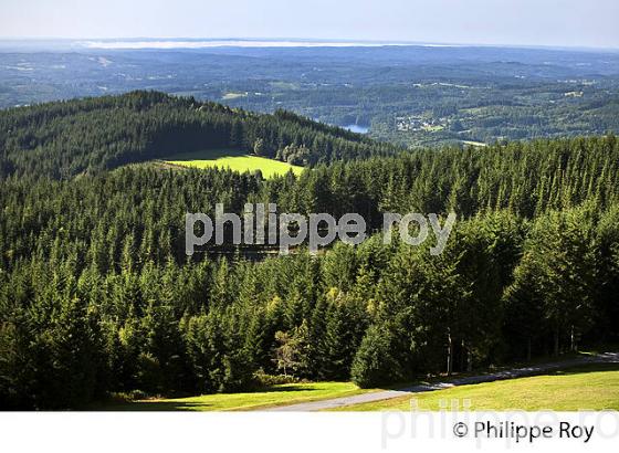 TOUR PANORAMIQUE, MONT BESSOU, MEYMAC,  PLATEAU DE MILLEVACHES, CORREZE, LIMOUSIN. (19F01614.jpg)