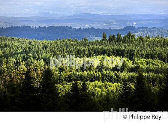 TOUR PANORAMIQUE, MONT BESSOU, MEYMAC,  PLATEAU DE MILLEVACHES, CORREZE, LIMOUSIN. (19F01616.jpg)