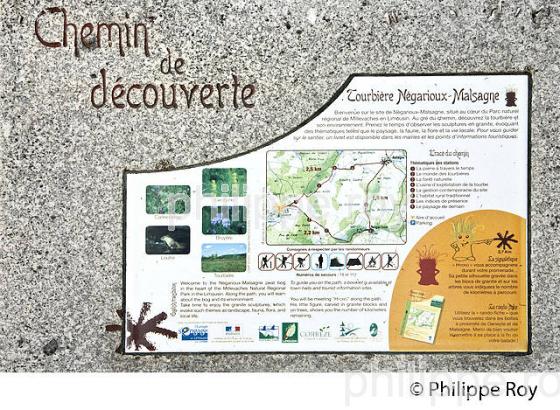 TOURBIERE DE NEGARIOUX-MALSAGNE,  PLATEAU DE MILLEVACHES,   CORREZE, LIMOUSIN. (19F01715.jpg)
