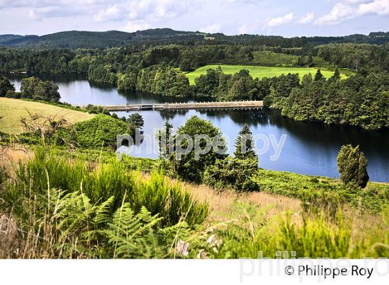 LAC DU CHAMMET, VALLEE DE LA VIENNE,   PLATEAU DE MILLEVACHES,  CORREZE, LIMOUSIN. (19F01802.jpg)