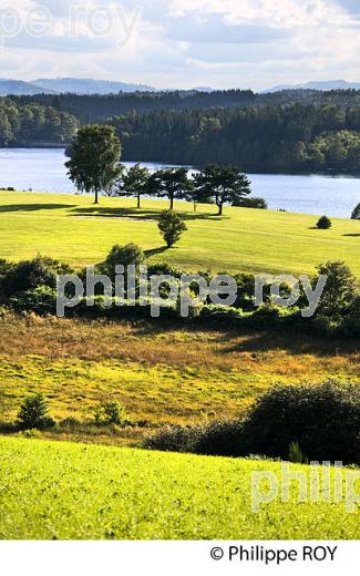 LAC DU CHAMMET, VALLEE DE LA VIENNE,   PLATEAU DE MILLEVACHES,  CORREZE, LIMOUSIN. (19F01805.jpg)