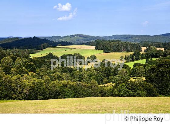 PAYSAGE AGRICOLE,  VALLEE DE LA VIENNE, PLATEAU DE MILLEVACHES,  CORREZE, LIMOUSIN. (19F01812.jpg)