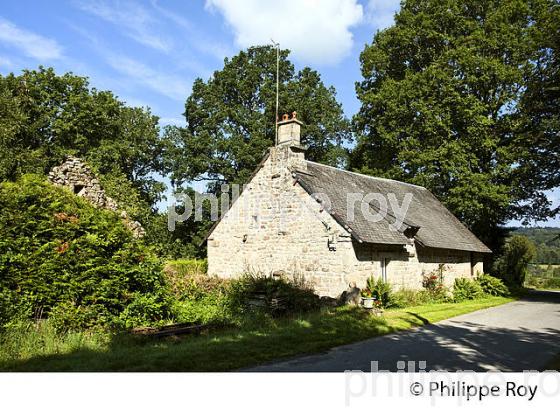 MAISON  CORREZIENNE, PLATEAU DE MILLEVACHES, VALLEE DE LA VEZERE,  CORREZE, LIMOUSIN. (19F01827.jpg)