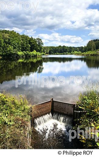 LAC DU SALVANEIX, VALLEE DE LA CORREZE,  PLATEAU DE MILLEVACHES, CORREZE, LIMOUSIN. (19F01934.jpg)