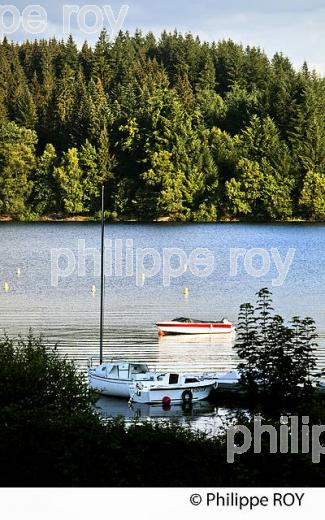 LA VEZERE, LAC DE VIAM, PLATEAU DE MILLEVACHES, VALLEE DE LA VEZERE,  CORREZE, LIMOUSIN. (19F02010.jpg)