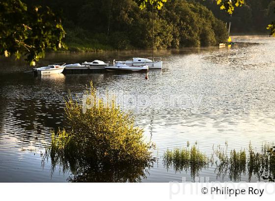 LA VEZERE, LAC DE VIAM, PLATEAU DE MILLEVACHES, VALLEE DE LA VEZERE,  CORREZE, LIMOUSIN. (19F02013.jpg)