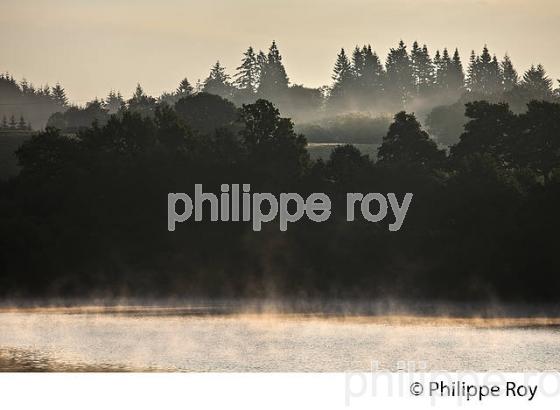 LA VEZERE, LAC DE VIAM, PLATEAU DE MILLEVACHES, VALLEE DE LA VEZERE,  CORREZE, LIMOUSIN. (19F02017.jpg)