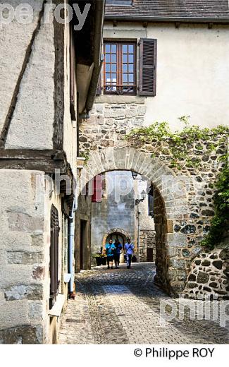 LE VILLAGE DE BEAULIEU SUR DORDOGNE, VALLEE DE LA DORDOGNE, CORREZE, LIMOUSIN. (19F02506.jpg)