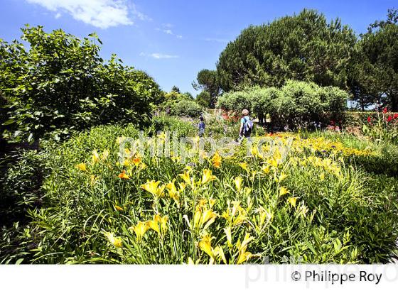 LES JARDINS DE COLETTE, PAYS DE  BRIVE, CORREZE, LIMOUSIN. (19F03510.jpg)