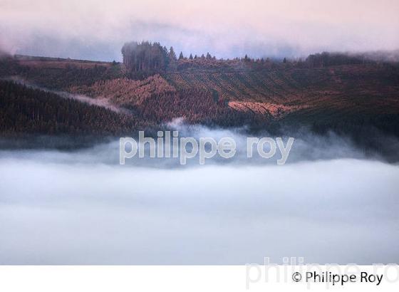 LE MONT BESSOU,   PLATEAU  DE MILLEVACHES, CORREZE. (19F03836.jpg)