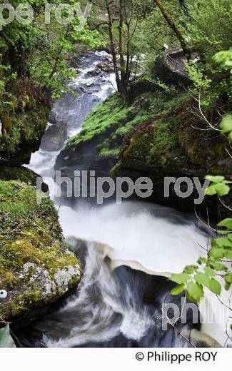 CASCADE DE GIMEL,  GORGES DE LA MONTANE, CORREZE, LIMOUSIN. (19F04401.jpg)