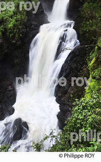 CASCADE DE GIMEL,  GORGES DE LA MONTANE, CORREZE, LIMOUSIN. (19F04403.jpg)