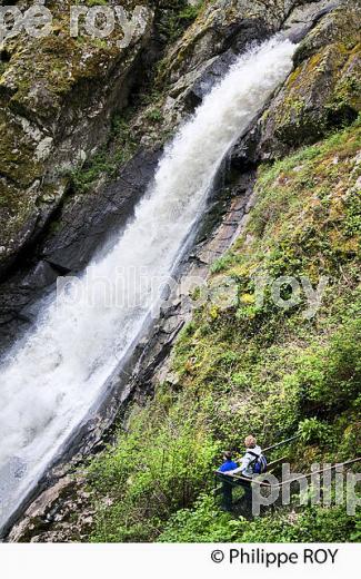 CASCADE DE GIMEL,  GORGES DE LA MONTANE, CORREZE, LIMOUSIN. (19F04413.jpg)